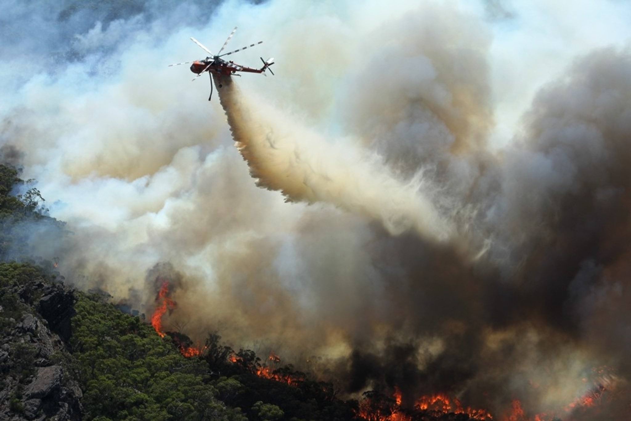 Bush and grassfire safety